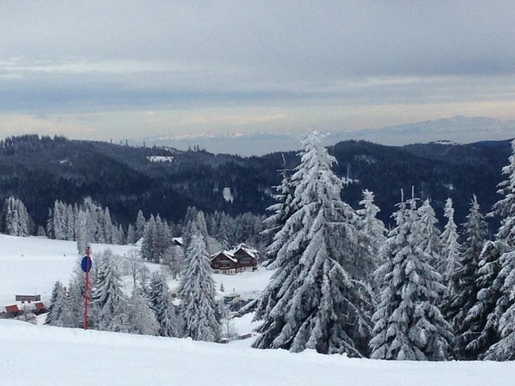 Pop-Up Stuub Feldberg Hotel Exterior photo