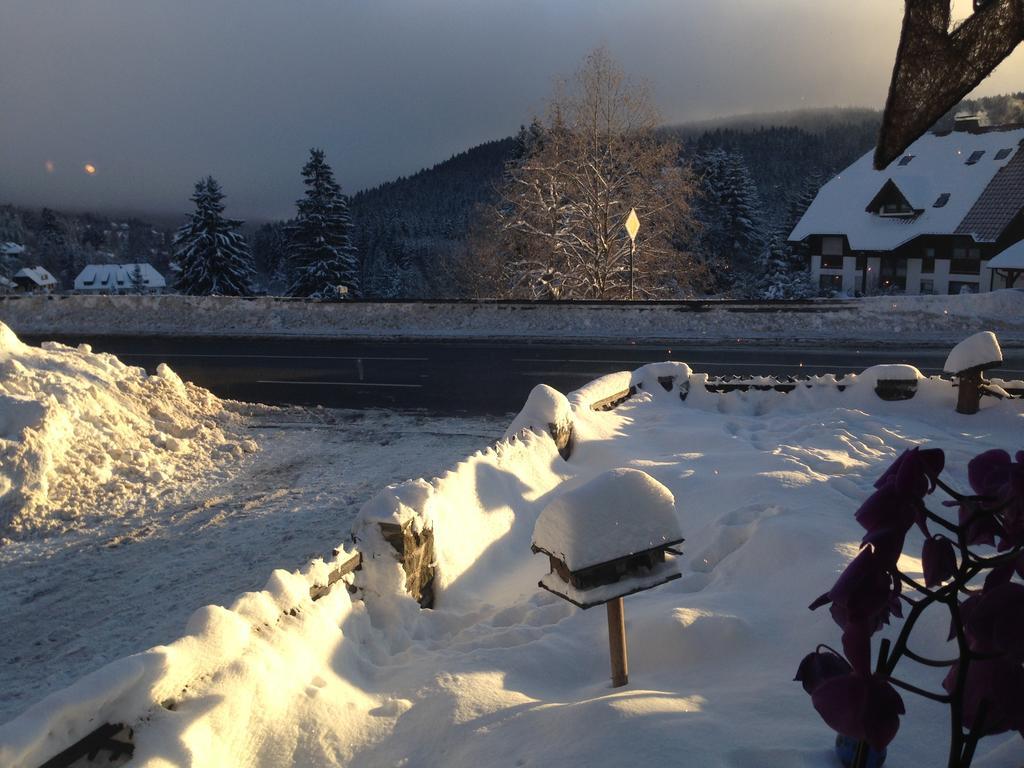 Pop-Up Stuub Feldberg Hotel Exterior photo